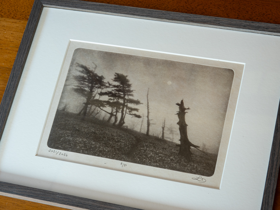 Photogravure example 2